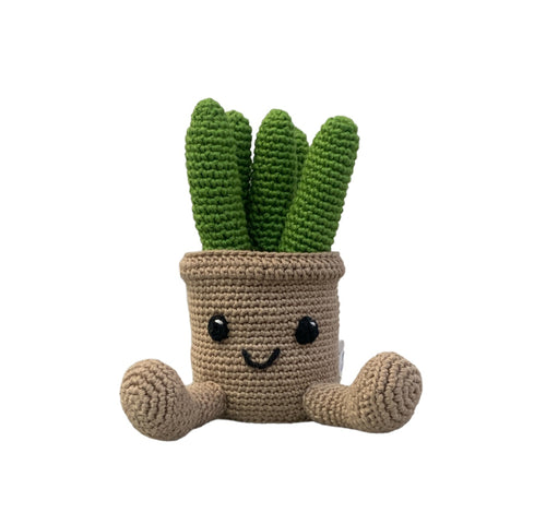 Suculentas - cactus de peluche