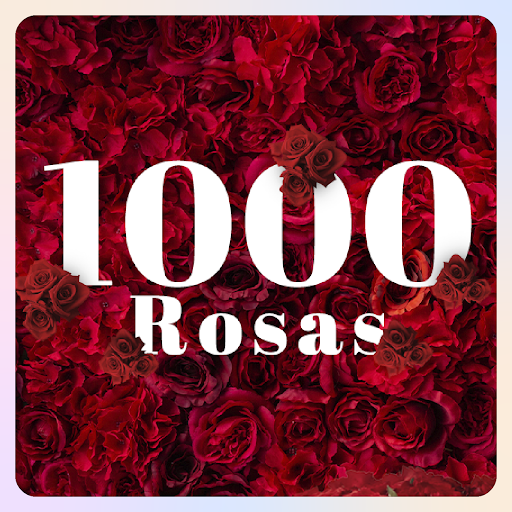 1000 rosas- 1000 tallos de rosa roja