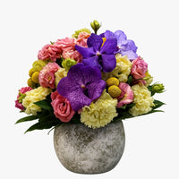 Jenny-maceta de cemento con lisianthus y vandas