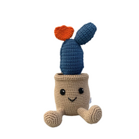 Cactus azul-cactus de peluche