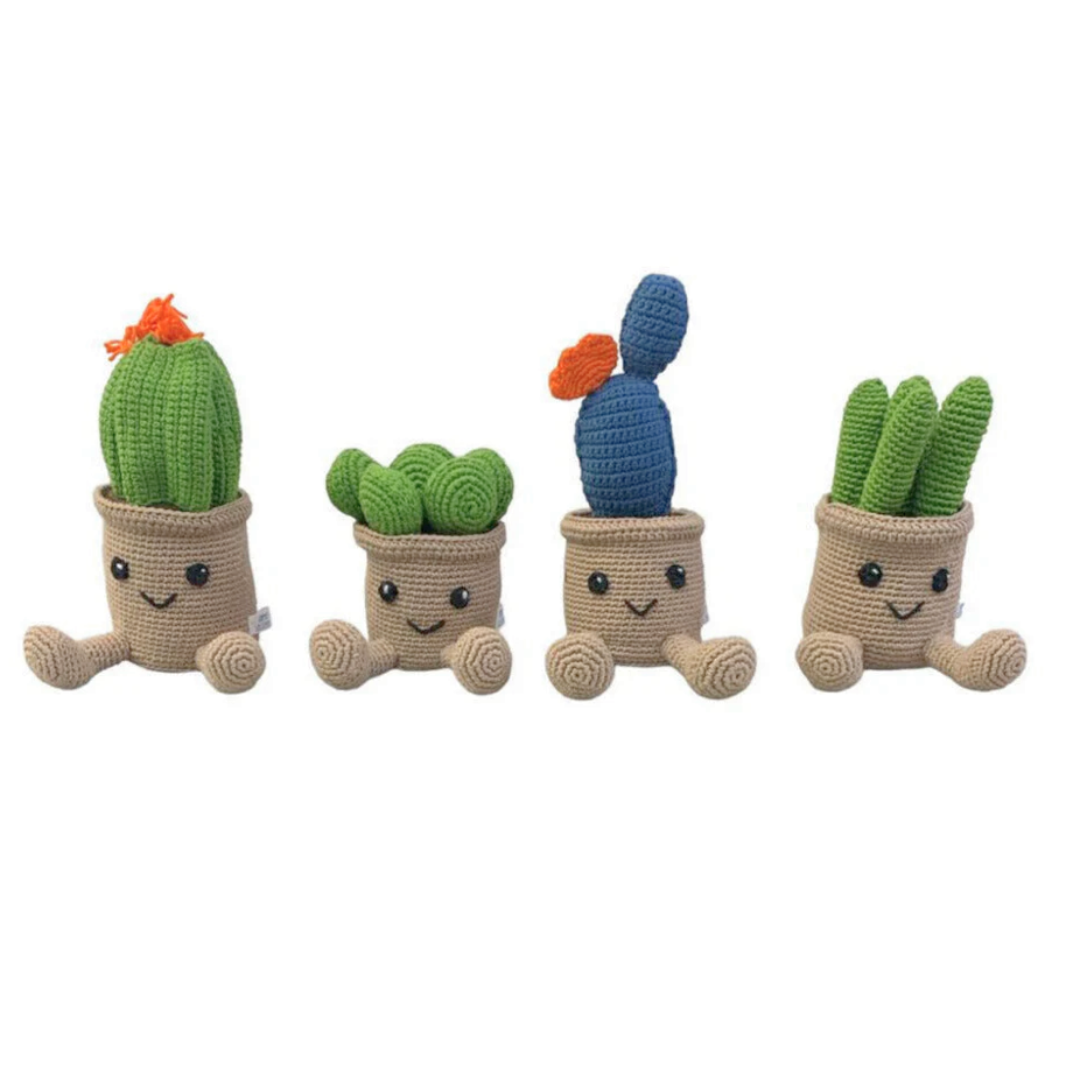 Cactáceas-cactus de peluche