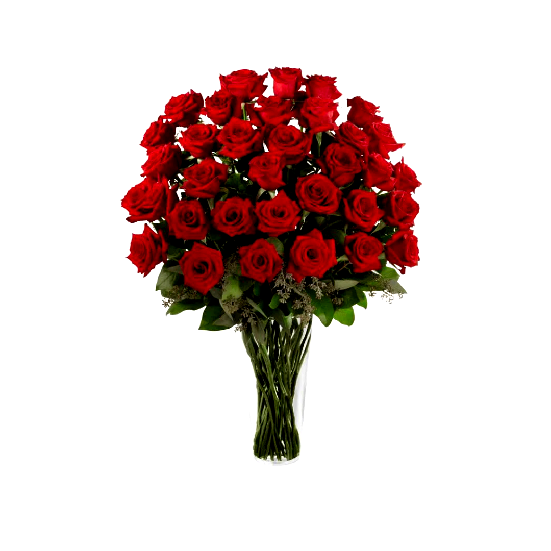 Isabela- florero con 48 rosas rojas