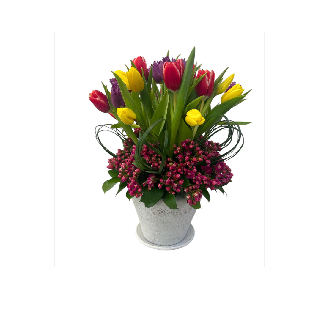 Arlette-base de cerámica con 30 tulipanes de colores