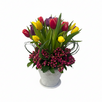 Arlette-base de cerámica con 30 tulipanes de colores