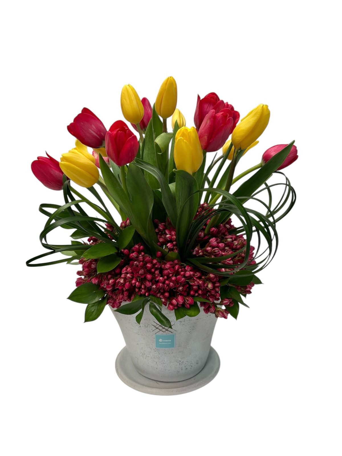 Arlette-base de cerámica con 20 tulipanes de colores