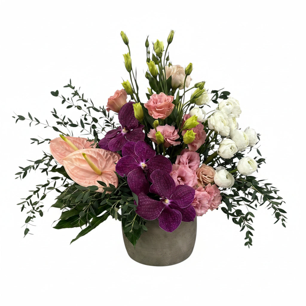 Aura-maceta de cemento con anturios,lisianthus,ranunculos