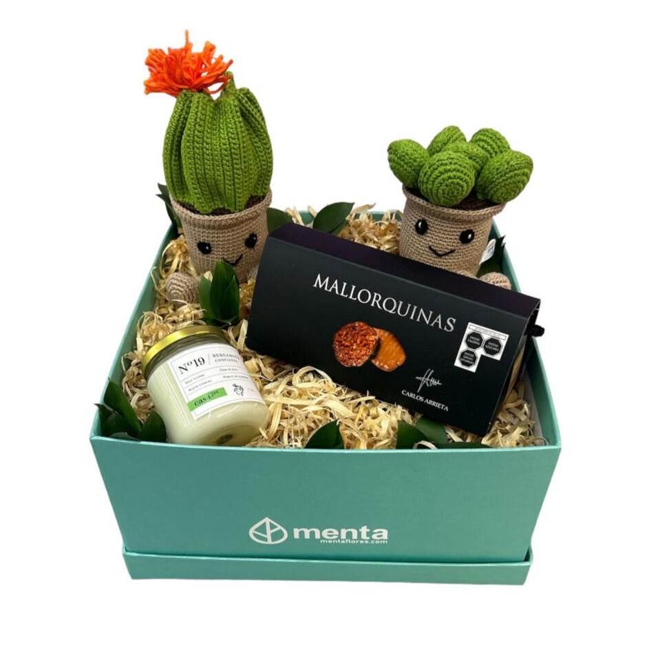 California-caja cuadrada menta con regalos