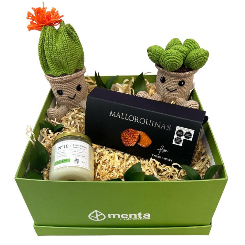 California-caja cuadrada verde con regalos