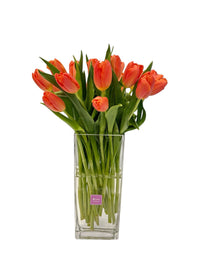 Camila - florero rectangular con 20 tulipanes naranja