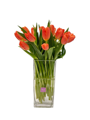 Camila - florero rectangular con 20 tulipanes naranja
