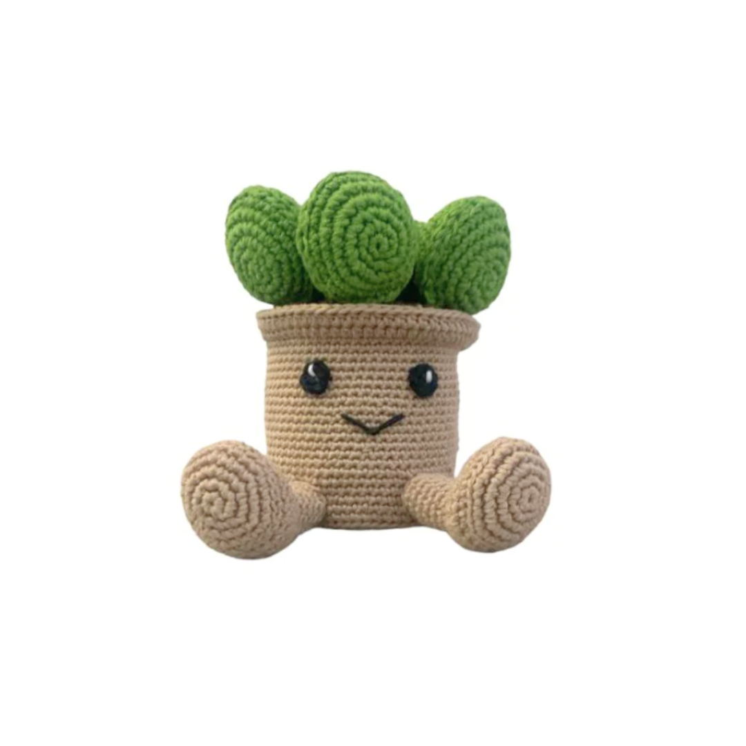 Cactáceas-cactus de peluche