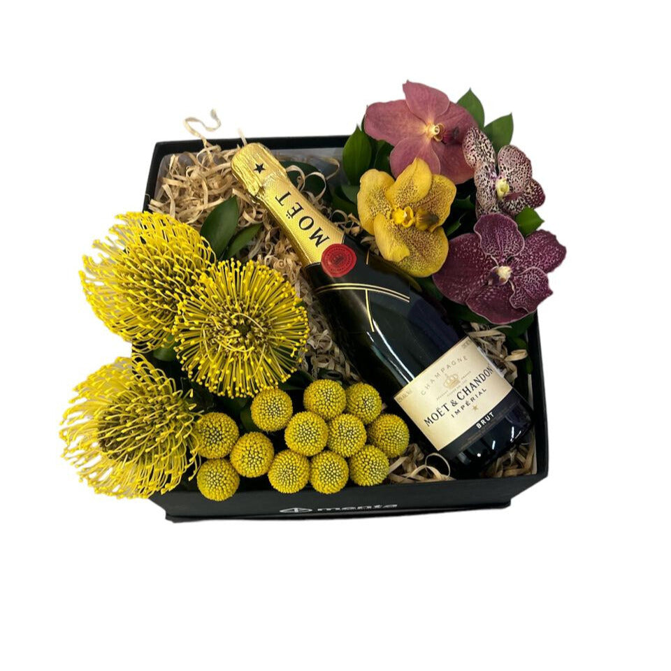 Zafiro-caja negra con leucos, orquídeas vanda y bebida