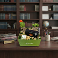 California-caja cuadrada verde con regalos