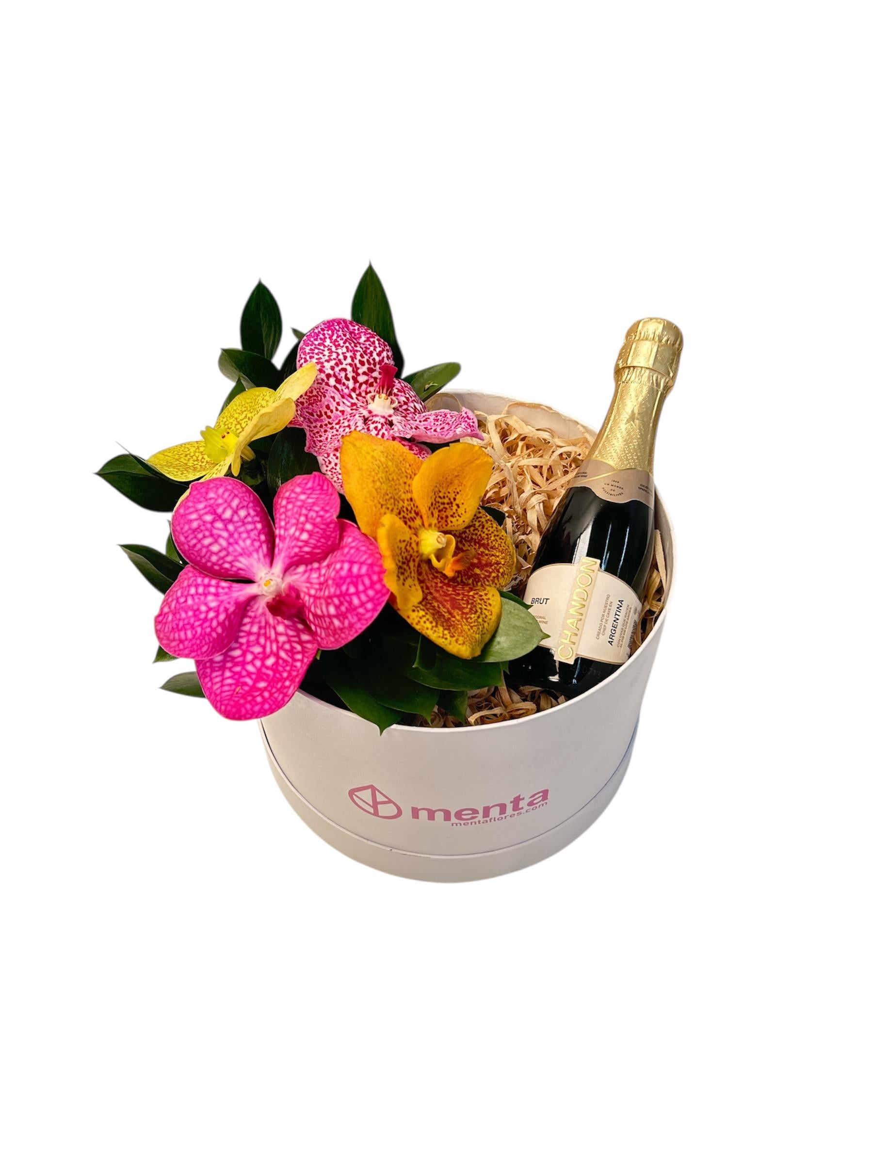 Zirconia-caja redonda blanca con orquídeas vanda y bebida