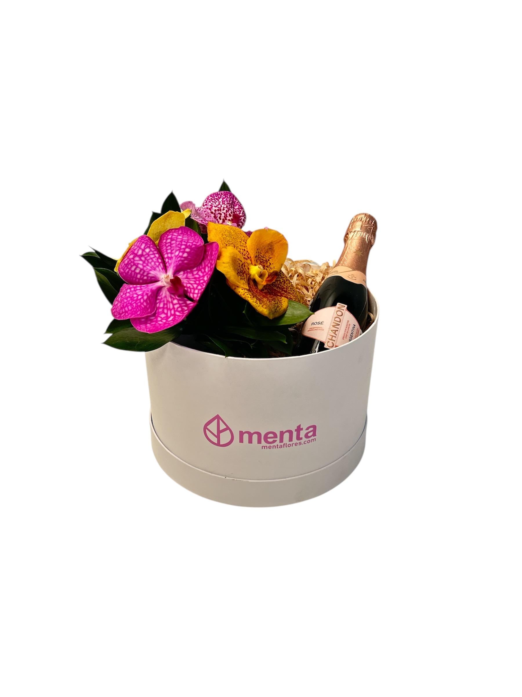 Amatista-caja redonda blanca con orquídeas vanda y bebida