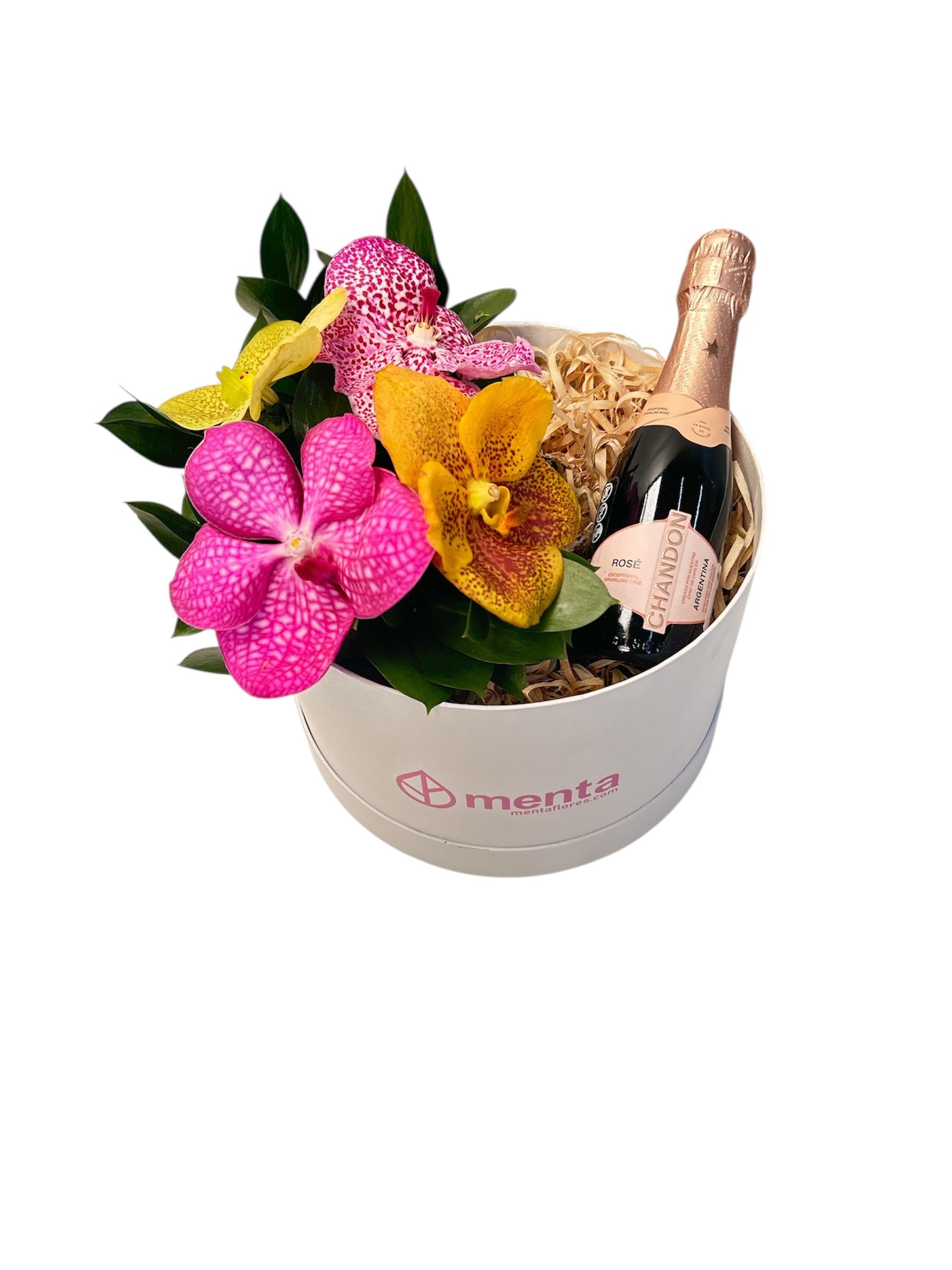 Amatista-caja redonda blanca con orquídeas vanda y bebida