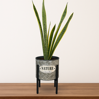 Mario-maceta de metal con Sansevieria