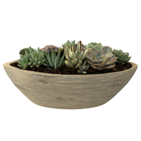 Álvaro-jardinera de suculentas mixtas premium