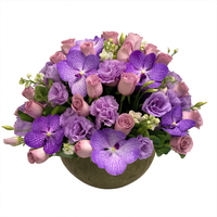 Marie-maceta de cemento grande con rosas y orquídeas vanda