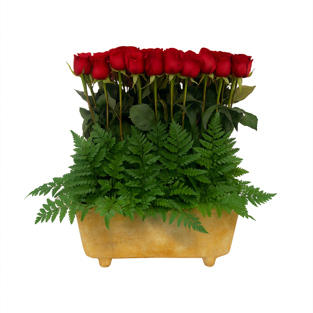 Cata-maceta con 48 rosas rojas