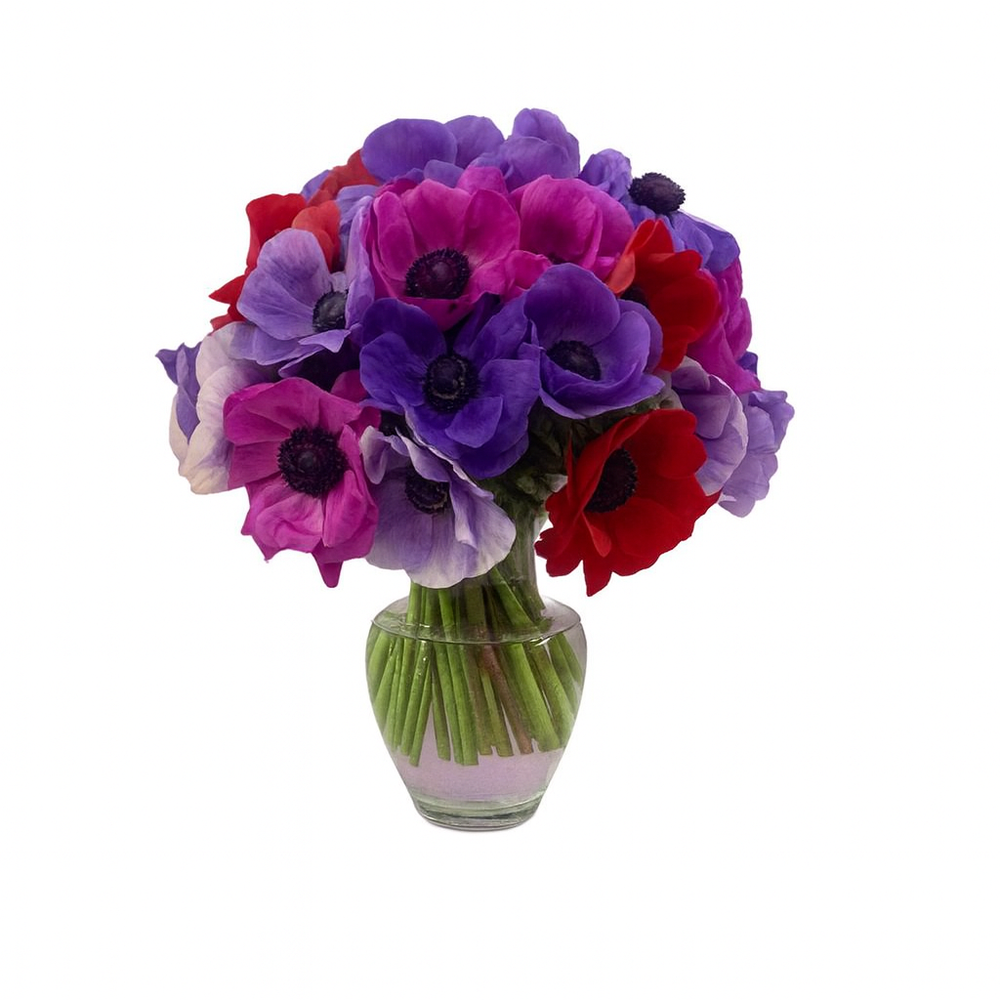 Mirna - florero de vidrio con anemonas de colores