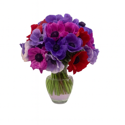 Mirna-florero de vidrio con anemonas de colores