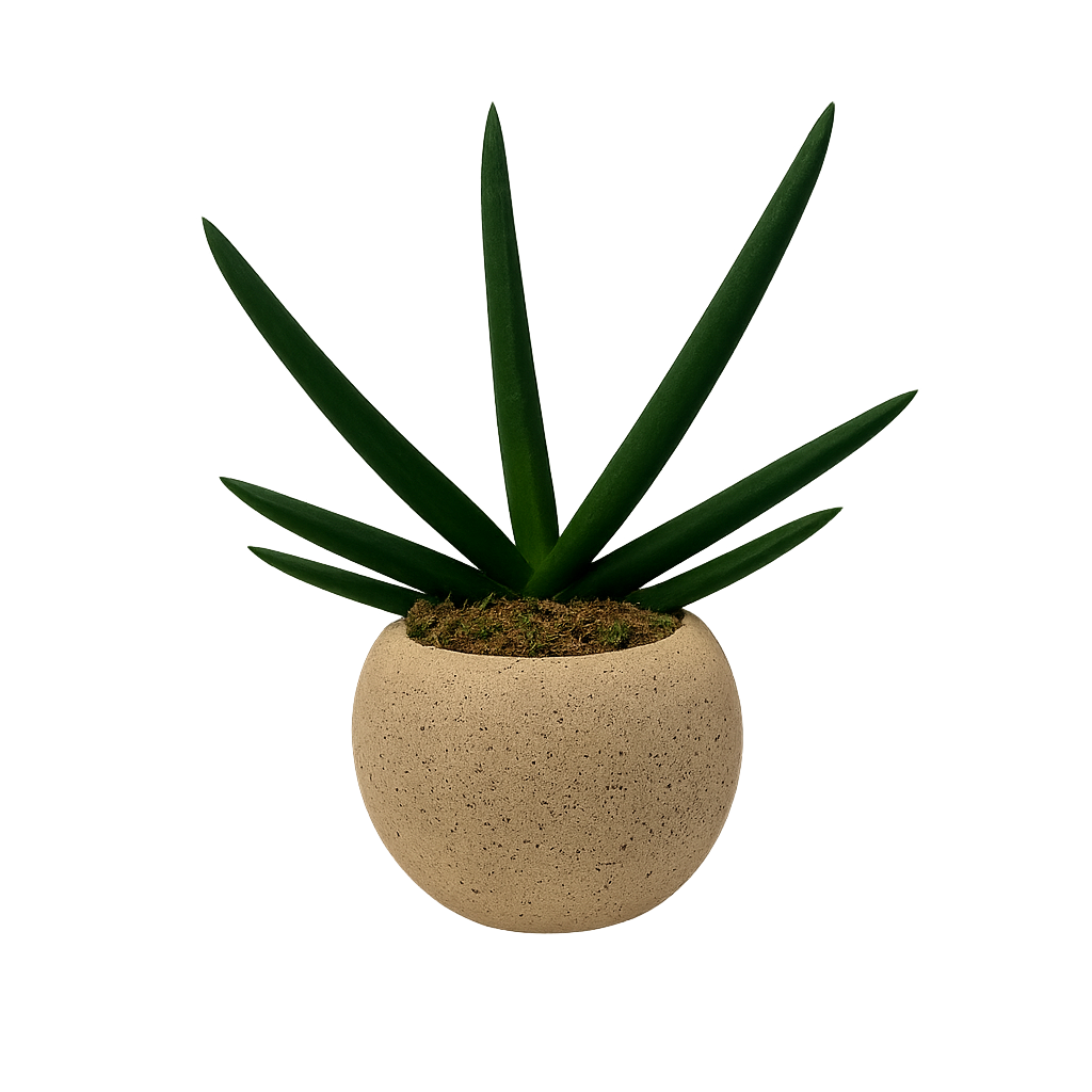 Aiden-maceta de cemento esfera khaki con sansevieria cilíndrica