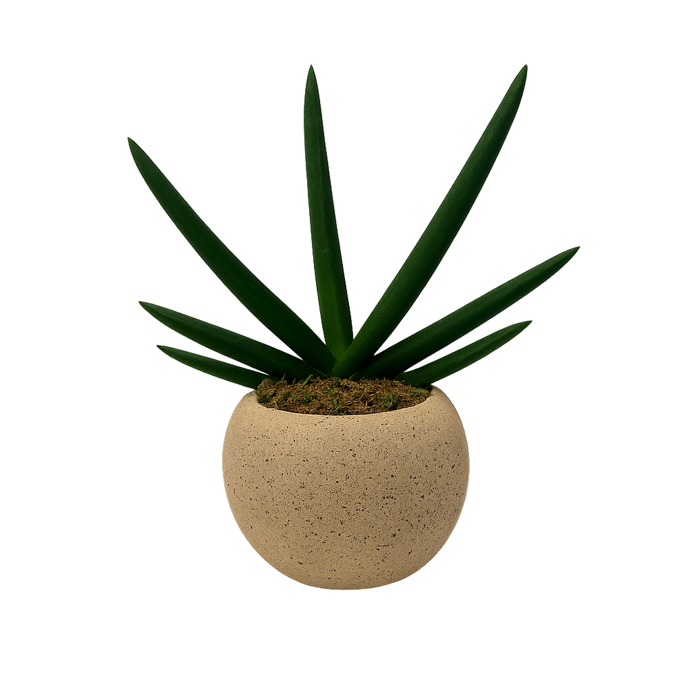 Aiden - maceta de cemento esfera khaki con sansevieria cilíndrica