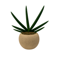 Aiden-maceta de cemento esfera khaki con sansevieria cilíndrica