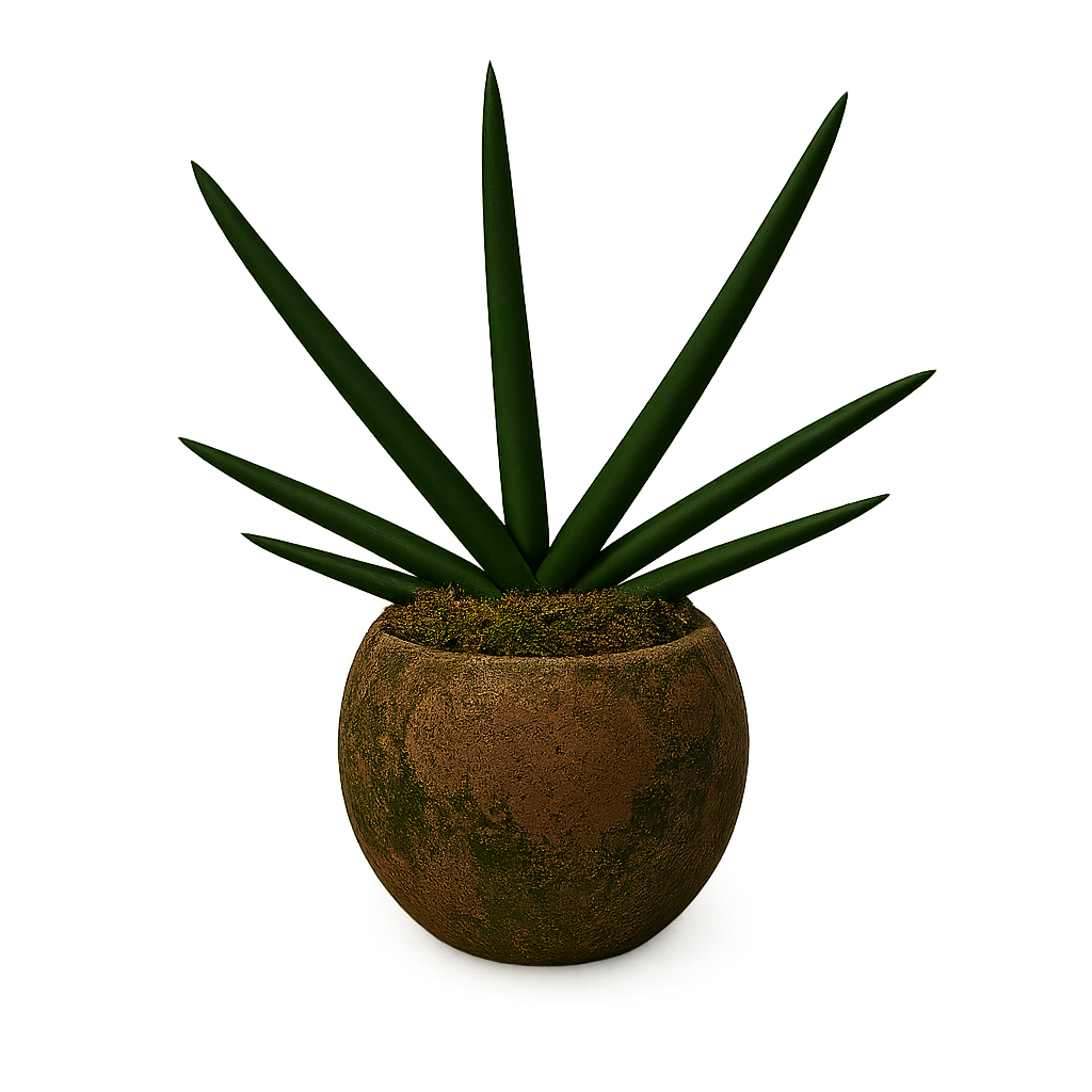 Aiden-maceta de cemento esfera verde con sansevieria cilíndrica