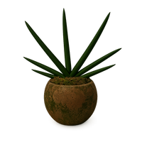 Aiden-maceta de cemento esfera verde con sansevieria cilíndrica