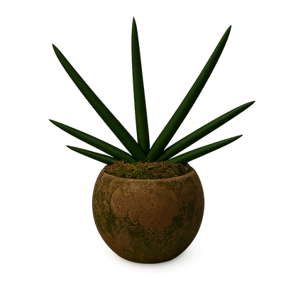 Aiden-maceta de cemento esfera verde con sansevieria cilíndrica