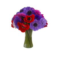 Melisa-florero de vidrio con Anemonas de colores