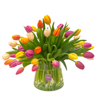 Amanda-florero de vidrio con 50 tulipanes multicolor