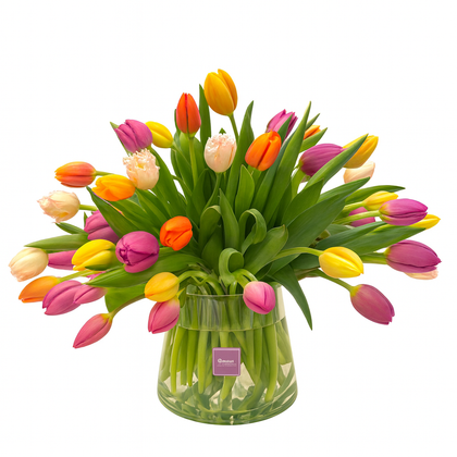 Amanda-florero de vidrio con 50 tulipanes multicolor