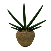 Gael-maceta de cemento volcán con sansevieria cilíndrica