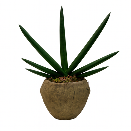 Gael-maceta de cemento volcán con sansevieria cilíndrica