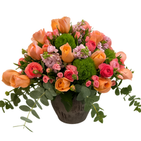 Viridiana-maceta de cemento grande con rosas naranjas