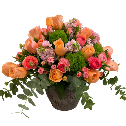 Viridiana-maceta de cemento grande con rosas naranjas