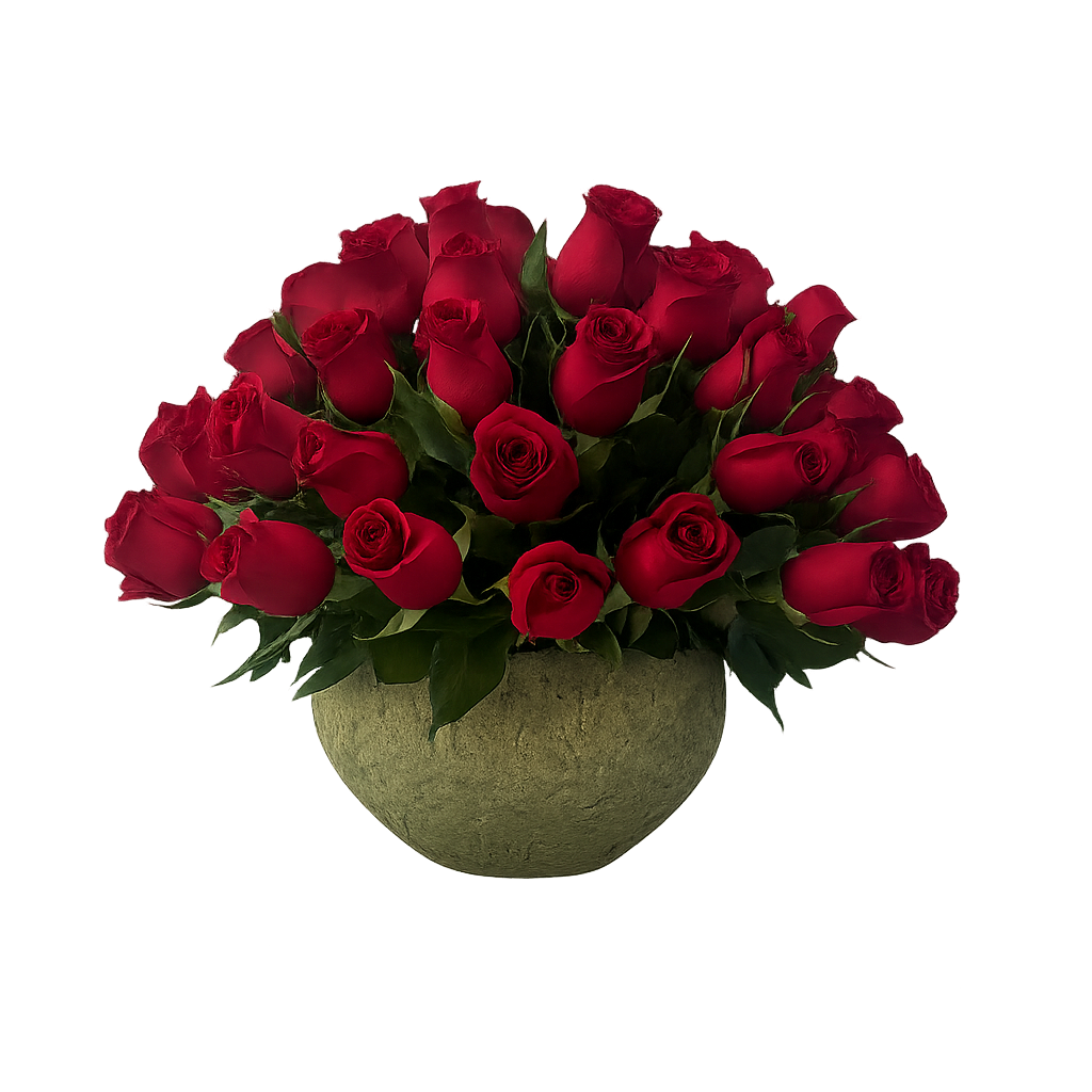 Luisa-maceta de cemento con 75 rosas rojas