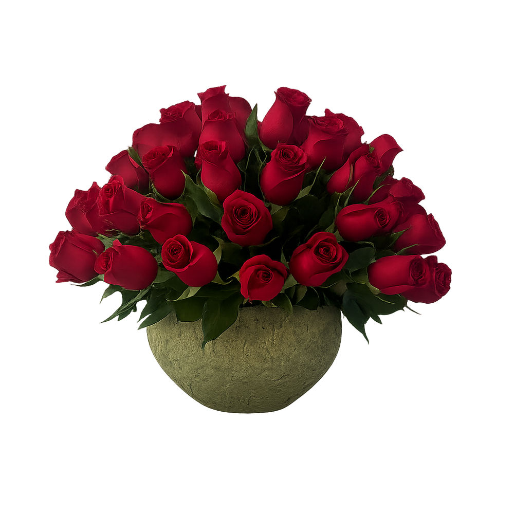 Luisa - maceta de cemento con 75 rosas rojas