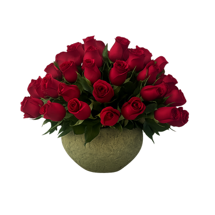 Luisa-maceta de cemento con 75 rosas rojas