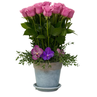 Areli maceta con rosas aqua y orquídeas vandas