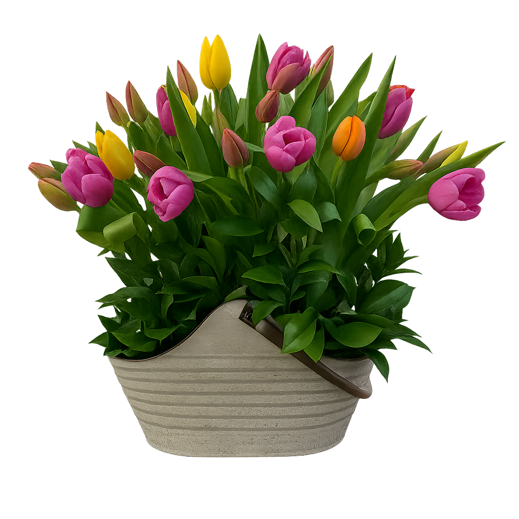Juliana-maceta de metal con 40 tulipanes de colores