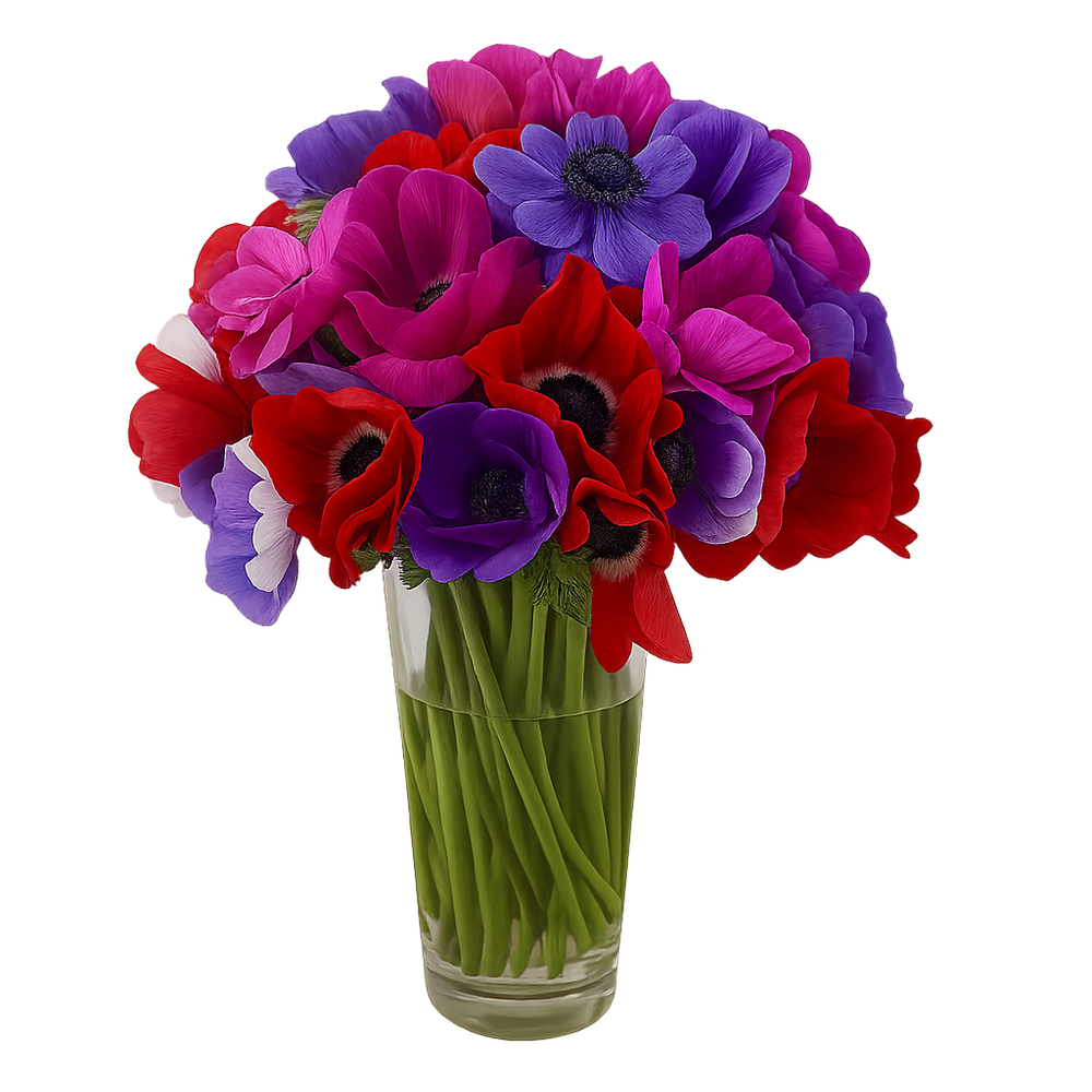 Mercedes-florero de cristal con Anemonas de colores