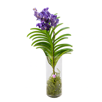 Orquídea Vanda en florero cilindro de cristal