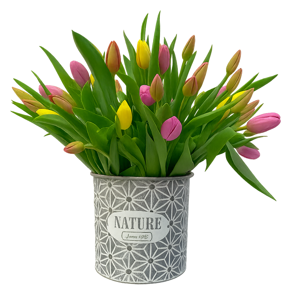 Brenda-maceta de metal con 60 tulipanes de colores