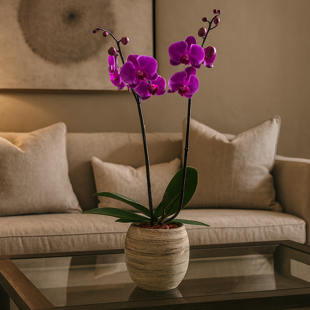 Magenta-base oval con una orquídea fiusha