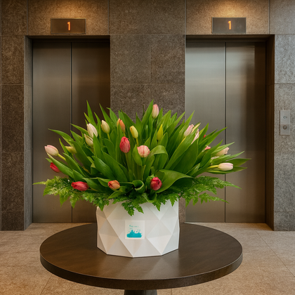 Etiqueta Holandesa-caja con 50 tulipanes de colores