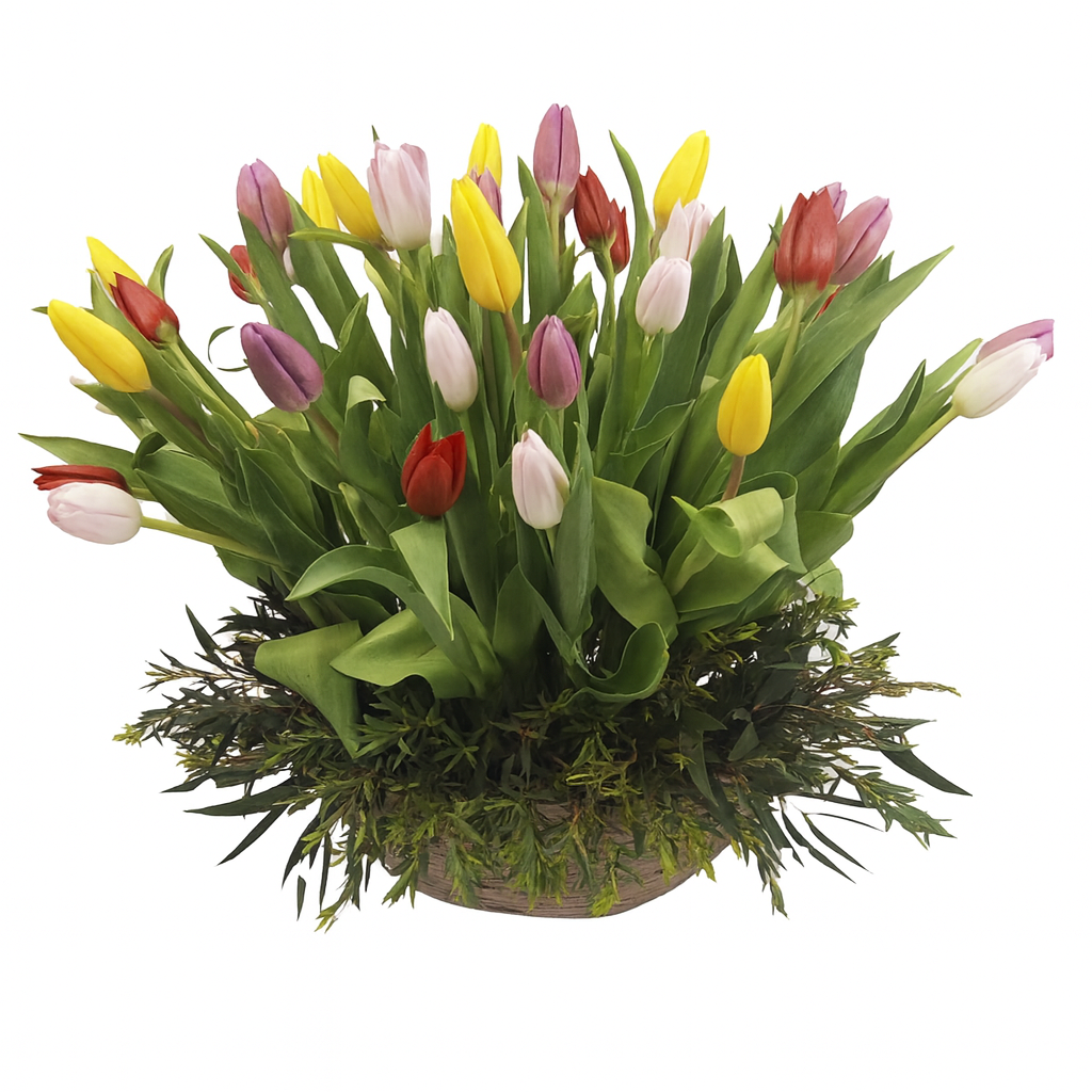 Gretta - base efecto madera con 40 tulipanes de colores